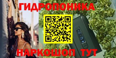 стаф Будённовск
