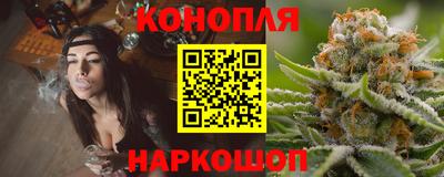 стаф Будённовск