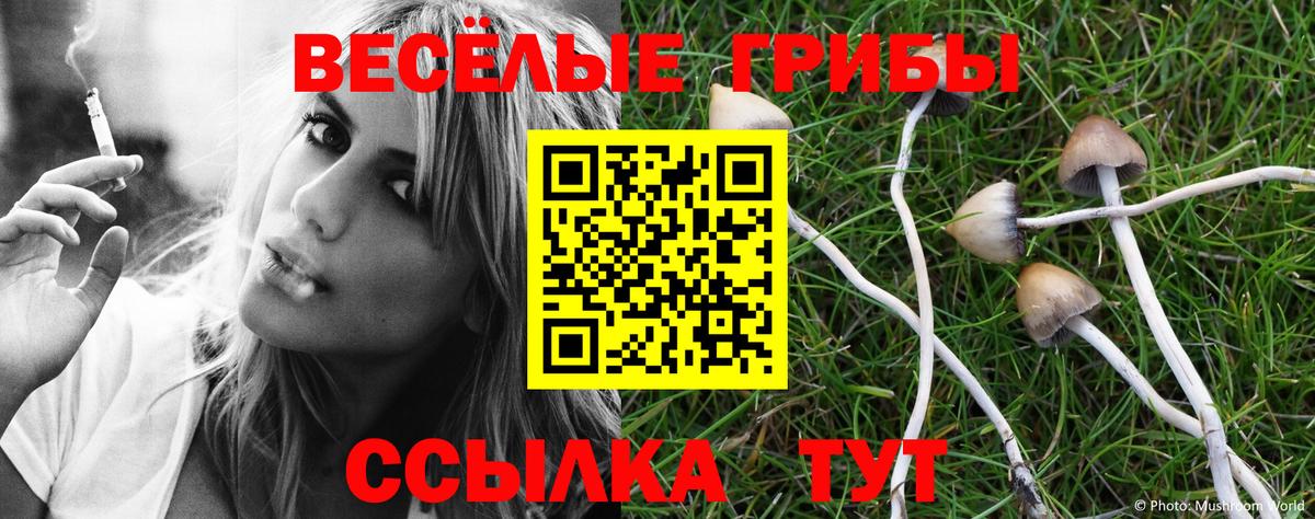Галлюциногенные грибы прущие грибы Самара