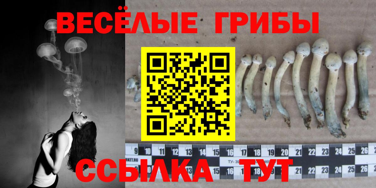 Псилоцибиновые грибы мицелий  Псилоцибиновые грибы ЛСД  Вход с VPN  Самара 